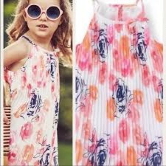 Janie & Jack Floral Rose Chiffon Sleeveless Pleat Swing Dress 2T - Picture 2 of 6